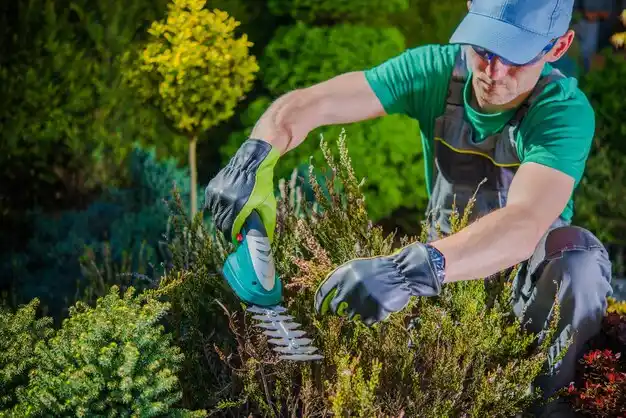 landscaping services Mound City